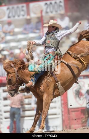 Cheyenne, Wyoming, USA. 24. Juli 2015. Sattel Bronc Reiter Doug Aldridge hängt an Pegasus im Cheyenne Frontier Days Rodeo in Frontier Park Arena 24. Juli 2015 in Cheyenne, Wyoming. Frontier Days feiert die Cowboy Traditionen des Westens mit einem Rodeo, Parade und Fair. Stockfoto