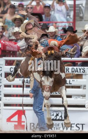 Cheyenne, Wyoming, USA. 24. Juli 2015. Sattel Bronc Fahrer Brody Kresse hängt nach Billings im Cheyenne Frontier Days Rodeo in Frontier Park Arena 24. Juli 2015 in Cheyenne, Wyoming. Frontier Days feiert die Cowboy Traditionen des Westens mit einem Rodeo, Parade und Fair. Stockfoto