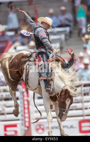 Cheyenne, Wyoming, USA. 24. Juli 2015. Sattel Bronc Reiter Jacobs Crawley hängt an ziemlich verrückt auf die Cheyenne Frontier Days Rodeo in Frontier Park Arena 24. Juli 2015 in Cheyenne, Wyoming. Frontier Days feiert die Cowboy Traditionen des Westens mit einem Rodeo, Parade und Fair. Stockfoto