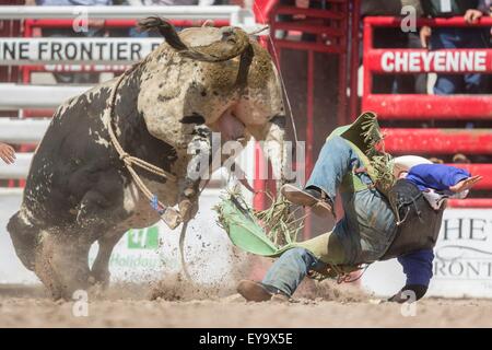 Cheyenne, Wyoming, USA. 24. Juli 2015. Bull Rider Zack Oakes Tonasket, Washington und ist von Donosdo die Cheyenne Frontier Days Rodeo in Frontier Park Arena 24. Juli 2015 in Cheyenne, Wyoming beworfen. Frontier Days feiert die Cowboy Traditionen des Westens mit einem Rodeo, Parade und Fair. Stockfoto