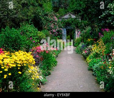 Ilnacullin Gardens, Co Cork, Irland; Krautige Grenze im ummauerten Garten Stockfoto