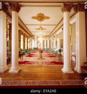 Geben Sie Salon, Staatsgemächer, Dublin Castle, Dublin, Irland Stockfoto