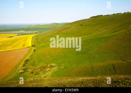 Kreide Böschung im Vale of Pewsey, vom Milk Hill, in der Nähe von Alton Barnes, Wiltshire, England Stockfoto