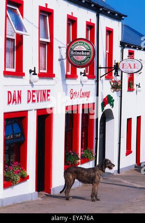 Dan Devine, Dunfanaghy, Co. Donegal, Irland; Hund stehen außerhalb traditionellen irischen Pub Stockfoto