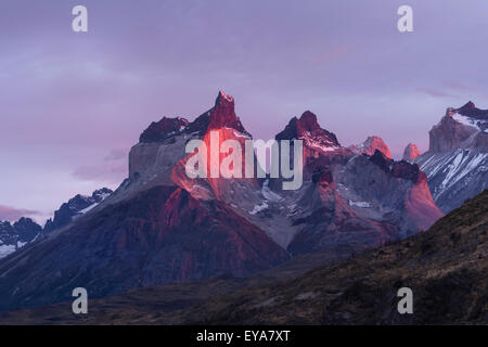 Sonnenaufgang über dem Cuernos del Paine, Torres del Paine Nationalpark, chilenischen Patagonien, Chile Stockfoto