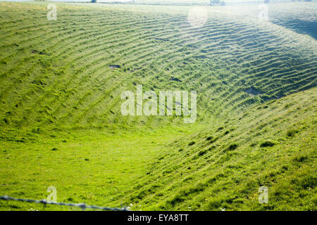 Terracettes an steilen Hängen in Kreide trockenes Tal verursacht durch Boden kriechen, Milk Hill, Wiltshire, England, UK Stockfoto