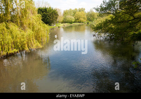 Fluss Avon Chalk River bei mittleren Woodford, Woodford-Tal, in der Nähe von Salisbury, Wiltshire, England, UK Stockfoto