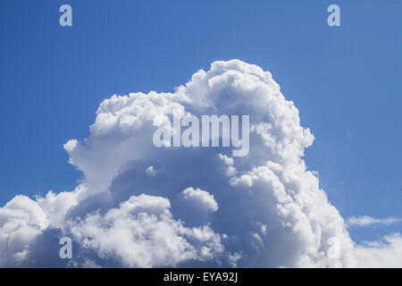 Flauschige Cumulus Wolkenbildung wie einen Vulkanausbruch in den Sommerhimmel über Dundee, UK Stockfoto
