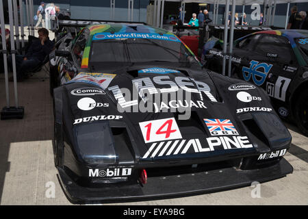 Silverstone, UK, 25. Juli 2015, Jaguar in die Pitts in Silverstone Classic 2015 den Welten größten klassischen Motorsport-Festiva Credit: Keith Larby/Alamy Live News Stockfoto