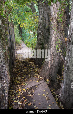 Berlin, Deutschland, erhaltene Teile der Berliner Mauer Stockfoto