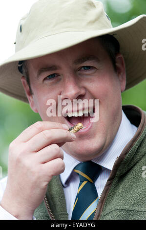 Llanelwedd, Powys, UK. 23. Juli 2015. Senior Lecturer, Andrew Black zeigt Heuschrecken, er als Teil der essbaren Bug-Herausforderung auf der Royal Welsh Show statt zu essen soll. Die Harper Adams University essbare Insekten Challenge reist nach 10 Shows quer durch das Land, gewagte Leute Chapulines, Mehlwürmer und Heuschrecken zu essen. Die Herausforderung soll Menschen über den Nährwert von Insekten und ihre mögliche Rolle in der Ernährung der wachsenden Weltbevölkerung zu lehren. Bildnachweis: Graham M. Lawrence/Alamy Live-Nachrichten. Stockfoto