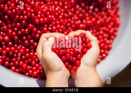 Kinderhände, rote Johannisbeeren in der Form von Herzen, hält im Sommer Stockfoto