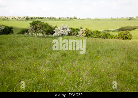 Durrington Wände neolithische Siedlung Website, Amesbury, Wiltshire, England, UK Stockfoto