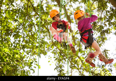 Charlton Park, Wiltshire, UK. 25. Juli 2015. Kinder klettern auf Bäume beim WOMAD-Festival in Charlton Park, Gloucestershire statt. 25. Juli 2015. Bildnachweis: Adam Gasson/Alamy Live-Nachrichten Stockfoto