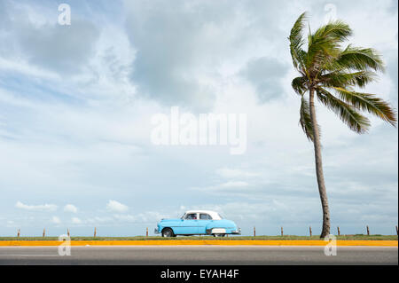 VARADERO, Kuba - 7. Juni 2011: Klassische amerikanische Oldtimer Laufwerke eine leere Küstenstraße neben einzige Palme. Stockfoto