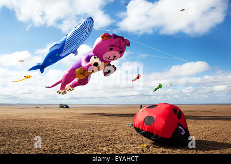 Marienkäfer, Teddybären & Wal, die an der St Annes Kite Festival, Lytham-St - Annes, Lancashire, Großbritannien am 25. Juli 2015. Der Himmel über der Küste überschwemmt mit Farbe als fabelhafte große Anzeige der riesigen Drachen in die Luft am Strand neben der Seebrücke. Das festival Empfohlene einzelne Linie, Dual, Quad und Power Kites, Windsack, weich, Schlauchboote, Teddybär und Tier Boden Bouncer, Bouncing Marienkäfer, Marienkäfer, Mikrofonkappe Stockfoto