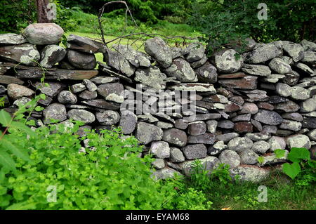 Jamestown, RI: Eine traditionelle neue Wettsektor Steinmauer gemacht ohne Mörtel oder Zement auf dem 1796 Watson Bauernhof auf Conanicut Insel Stockfoto