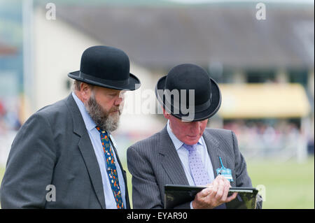 Llanelwedd, Powys, UK. 23. Juli 2015. Richter sind während der Shire Horse-Event in der Main-Ring gesehen. Die Royal Welsh Show wird als der größte & renommiertesten Veranstaltung ihrer Art in Europa gefeiert. Mehr als 200.000 Besucher erwartet diese Woche über die viertägige Show Zeitraum - 2014 sahen 237.694 Besucher, 1.033 Alpakas & ein Datensatz 7.959 Vieh Aussteller. Die erste show jemals war bei Aberystwyth in 1904 und zog 442 Vieh Einträge. Bildnachweis: Graham M. Lawrence/Alamy Live-Nachrichten. Stockfoto