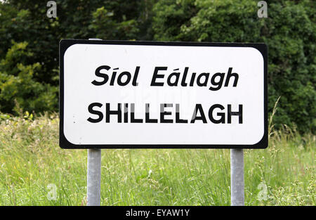 Dorf von Shillelagh im County Wicklow Stockfoto