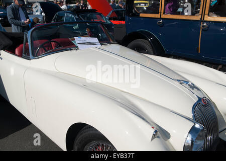 Sydney, Australien. 26. Juli 2015. Abgebildete Creme 1960 Jaguar XK150 Cabrio mit roter Lederausstattung Credit: model10/Alamy Live-Nachrichten Stockfoto