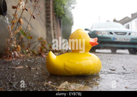 Wimbledon London, UK. 26. Juli 2015. Wetter für Enten auf einem nassen Regentag in London Credit: Amer Ghazzal/Alamy Live-Nachrichten Stockfoto