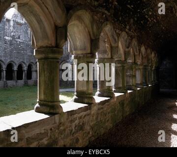 Moyne Abbey, Co. Mayo, Irland; 15. Jahrhundert Franziskaner Kloster Stockfoto