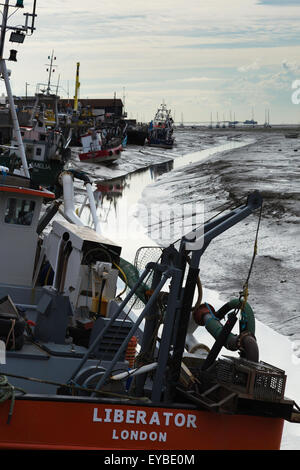 Ebbe am alten Leigh Stockfoto