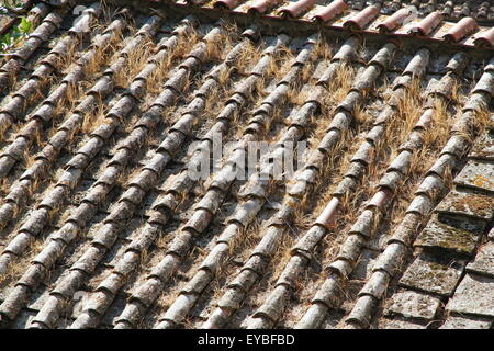 Verwitterte alte Cotto-Dach in Italien Stockfoto