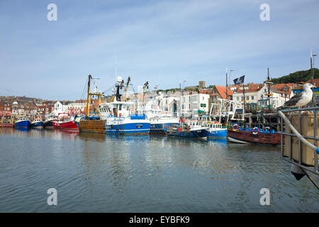 Angelboote/Fischerboote im Hafen von Scarborough, North Yorkshire Stockfoto