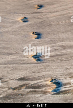 Fußabdrücke auf sandigen Strand Ina einen sonnigen Tag Stockfoto