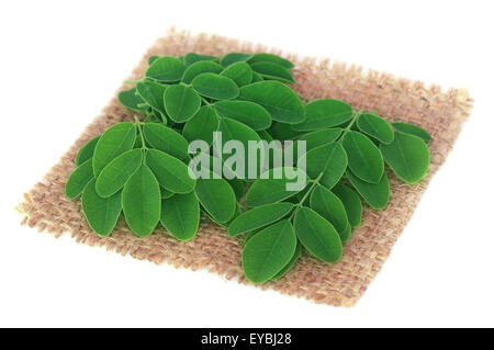 Essbare Moringa Blätter auf Sack Oberfläche über weißem Hintergrund Stockfoto