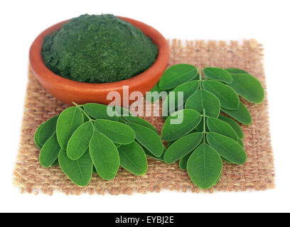 Essbare Moringa Blätter mit Boden-Paste auf Sack Oberfläche Stockfoto