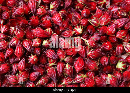 Hintergrund von Hibiscus Sabdariffa oder Roselle Früchten gemacht Stockfoto