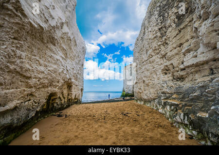 Ein einsamer Fischer am Strand von Botany Bay und Kingsgate Stockfoto