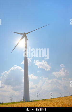Windkraftanlagen im Windfeld Bauernhof Stockfoto