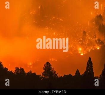 26. Juli 2015 - Oakhurst/North Fork, CA, USA - The Willow Feuer brennt in der Nähe von Bass Lake, CA Sonntag 26. Juli. Das Willow-Feuer brennt in der Sierra National Forest am frühen Sonntagmorgen 26. Juli 2015. Vom ersten Licht das Feuer hatte ca. 1.100 Hektar verbrannt und wurde 5 % enthalten. Einige Straßen wurden gesperrt und Evakuierungen in Kraft waren, als 450 Strukturen bedroht waren. Das Feuer brannte in Willow Canyon. (Kredit-Bild: © Stuart Palley über ZUMA Draht) Stockfoto