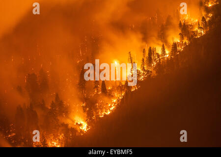 26. Juli 2015 - Oakhurst/North Fork, CA, USA - The Willow Feuer brennt in der Nähe von Bass Lake, CA Sonntag 26. Juli. Das Willow-Feuer brennt in der Sierra National Forest am frühen Sonntagmorgen 26. Juli 2015. Vom ersten Licht das Feuer hatte ca. 1.100 Hektar verbrannt und wurde 5 % enthalten. Einige Straßen wurden gesperrt und Evakuierungen in Kraft waren, als 450 Strukturen bedroht waren. Das Feuer brannte in Willow Canyon. (Kredit-Bild: © Stuart Palley über ZUMA Draht) Stockfoto