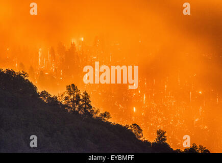 26. Juli 2015 - Oakhurst/North Fork, CA, USA - The Willow Feuer brennt in der Nähe von Bass Lake, CA Sonntag 26. Juli. Das Willow-Feuer brennt in der Sierra National Forest am frühen Sonntagmorgen 26. Juli 2015. Vom ersten Licht das Feuer hatte ca. 1.100 Hektar verbrannt und wurde 5 % enthalten. Einige Straßen wurden gesperrt und Evakuierungen in Kraft waren, als 450 Strukturen bedroht waren. Das Feuer brannte in Willow Canyon. (Kredit-Bild: © Stuart Palley über ZUMA Draht) Stockfoto