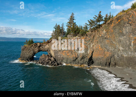 Der Bogen am Eingang zum Halibut Cove, Kachemak Bay, Alaska Stockfoto