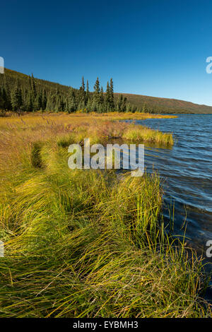 Herbstliche Ansicht der Dreifarbigkeit, Denali National Park, Alaska, Vereinigte Staaten von Amerika Stockfoto