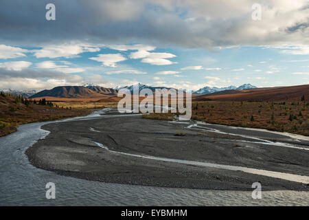 Savage River View in Denali Nationalpark, Alaska Stockfoto