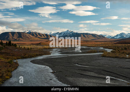 Savage River View in Denali Nationalpark, Alaska Stockfoto