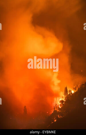 26. Juli 2015 - Oakhurst/North Fork, CA, USA - The Willow Feuer brennt in der Nähe von Bass Lake, CA Sonntag 26. Juli. Das Willow-Feuer brennt in der Sierra National Forest am frühen Sonntagmorgen 26. Juli 2015. Vom ersten Licht das Feuer hatte ca. 1.100 Hektar verbrannt und wurde 5 % enthalten. Einige Straßen wurden gesperrt und Evakuierungen in Kraft waren, als 450 Strukturen bedroht waren. Das Feuer brannte in Willow Canyon. (Kredit-Bild: © Stuart Palley über ZUMA Draht) Stockfoto