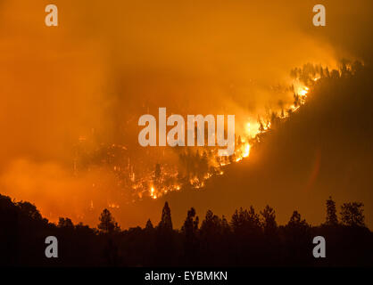 26. Juli 2015 - Oakhurst/North Fork, CA, USA - The Willow Feuer brennt in der Nähe von Bass Lake, CA Sonntag 26. Juli. Das Willow-Feuer brennt in der Sierra National Forest am frühen Sonntagmorgen 26. Juli 2015. Vom ersten Licht das Feuer hatte ca. 1.100 Hektar verbrannt und wurde 5 % enthalten. Einige Straßen wurden gesperrt und Evakuierungen in Kraft waren, als 450 Strukturen bedroht waren. Das Feuer brannte in Willow Canyon. (Kredit-Bild: © Stuart Palley über ZUMA Draht) Stockfoto