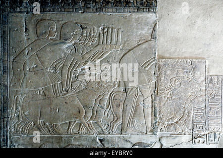 Luxor, Ägypten, Grab des Khaemhet Mahu (TT57) in den Adligen Gräbern im Asasif Nekropole: schönen Reliefs Stockfoto