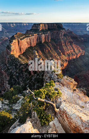 Nationalpark Grand Canyon North Rim, Arizona Stockfoto