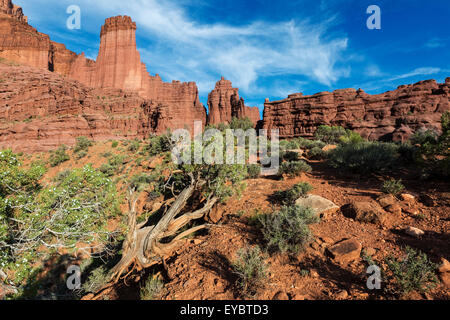 Fisher Towers, Moab, Utah Stockfoto