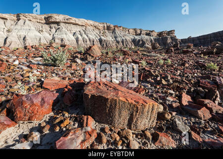 Versteinerter Wald-Nationalpark, Arizona Stockfoto