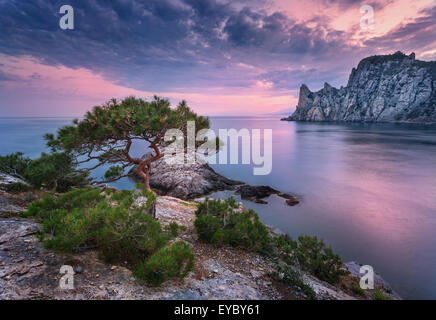 Schönen Sommer Sonnenuntergang am Meer mit Bergen, Steinen, Bäumen und bewölktem Himmel auf der Krim. Dämmerung, Dämmerung. Stockfoto