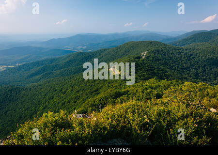 Blick auf die Blue Ridge Mountains von kleinen steinigen Mann Klippen im Shenandoah-Nationalpark, Virginia. Stockfoto